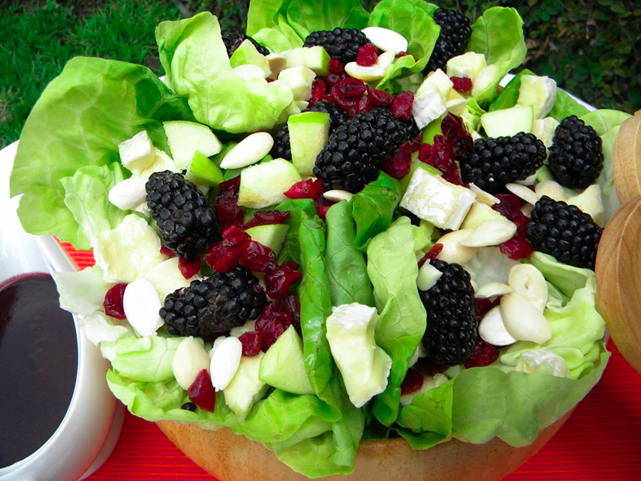 Blackberry Salad with Brie Cheese, Almonds and Cranberries