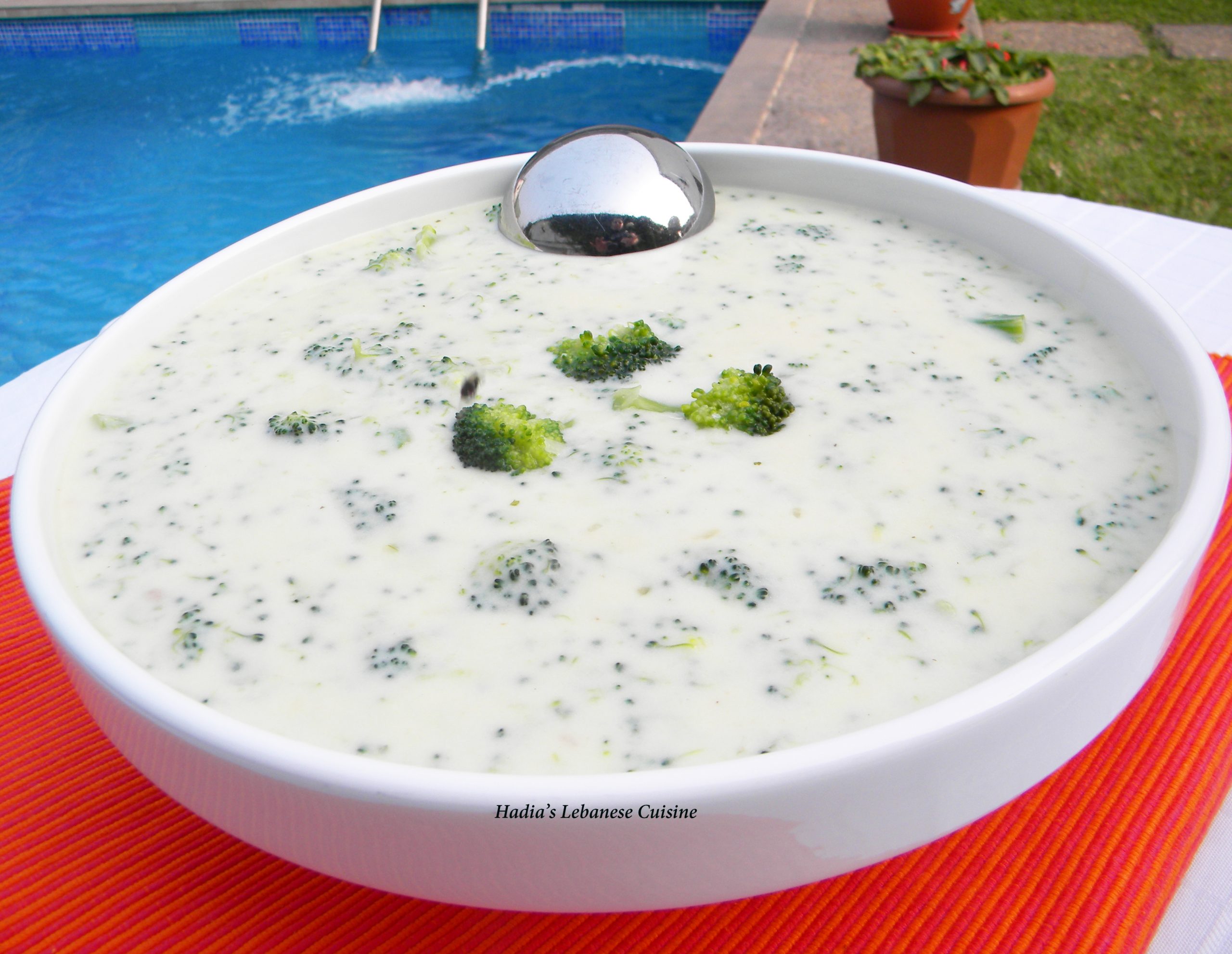 Broccoli  and Cheese Soup....There is nothing more satisfying than sipping a steaming bowl of soup after a long fasting day