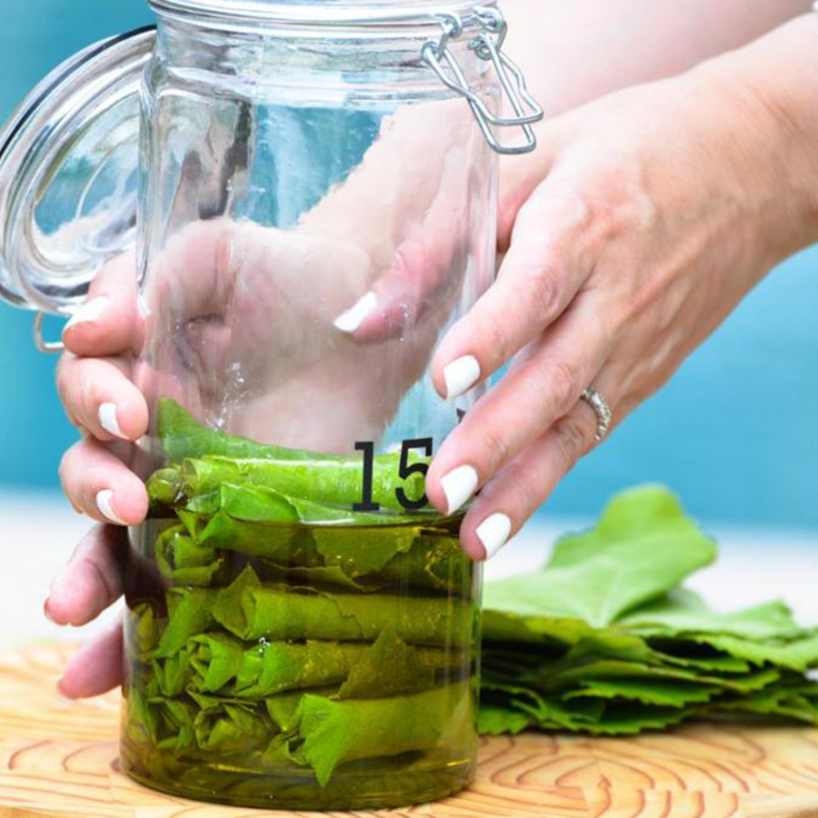 Labneh Stuffed Grape Leaves