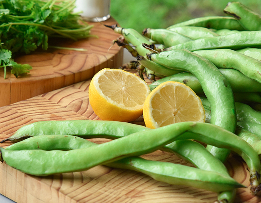 Foul Akhdar Bil Zeit/ Broad Fava Beans in Oil
