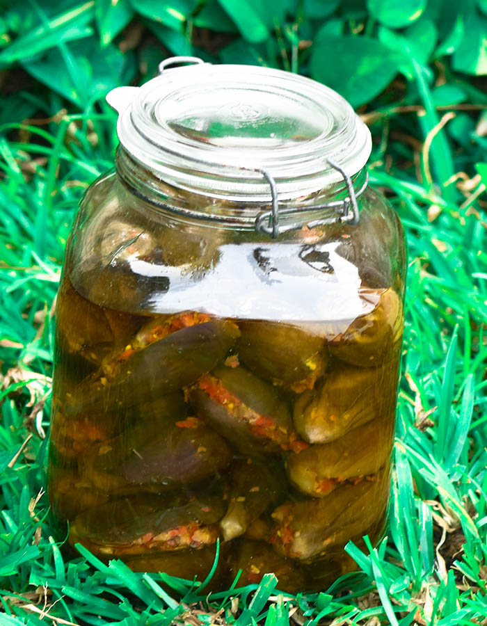 hadia lebanese style recipes